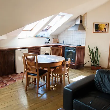 Vokieciu 5 Penthouse Apartment Vilnius